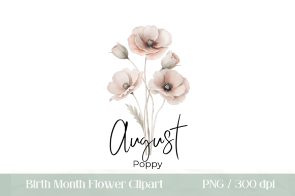 Download August Birth Month Flower Poppy PNG - August Collection